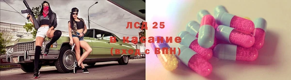 спиды Бородино