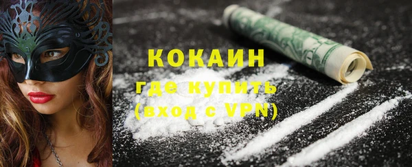дживик Богданович