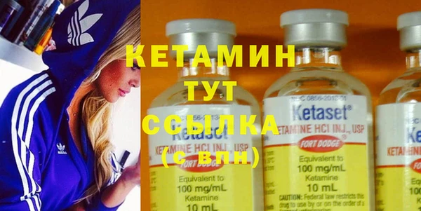 крисы Баксан