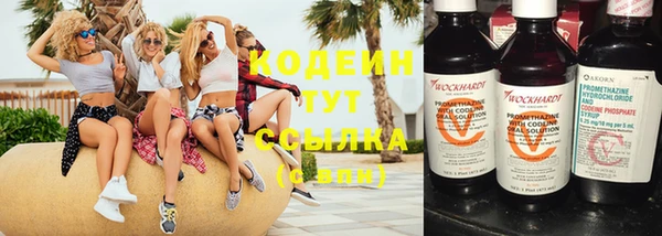 спиды Бородино
