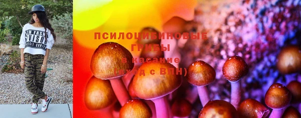 дживик Богданович