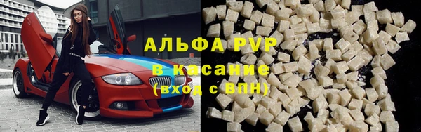 индика Балахна
