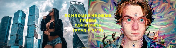 COCAINE Богородицк